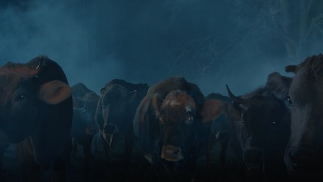 Evaluarea reclamei video: DoorDash — The Hills Have Udders